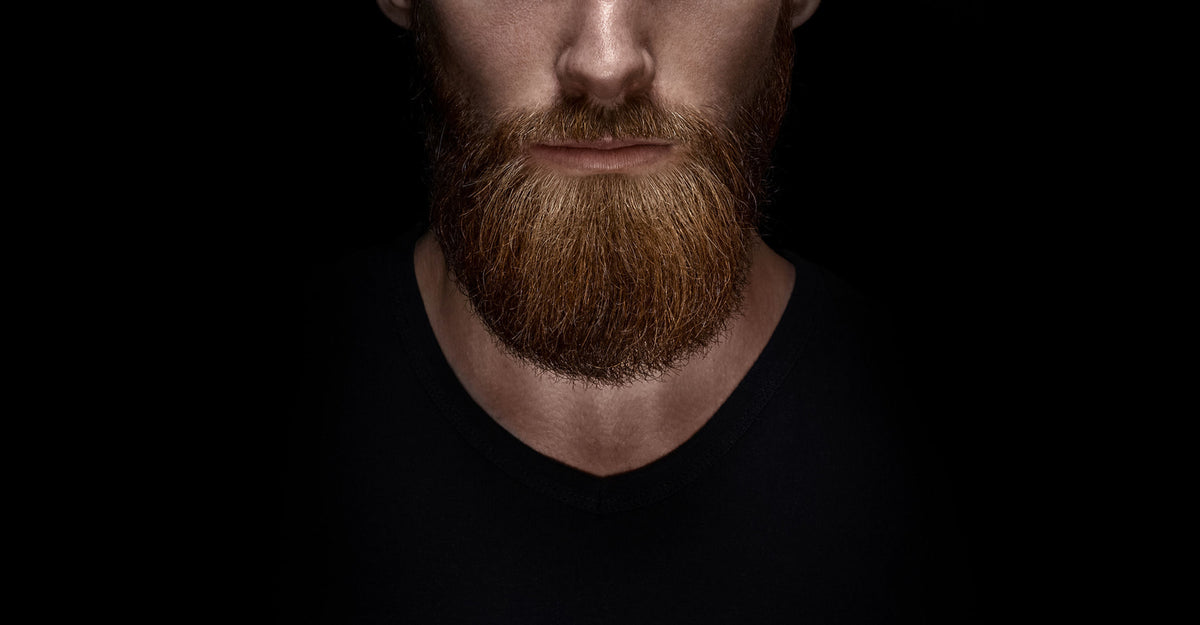 TIMBER FOR MEN